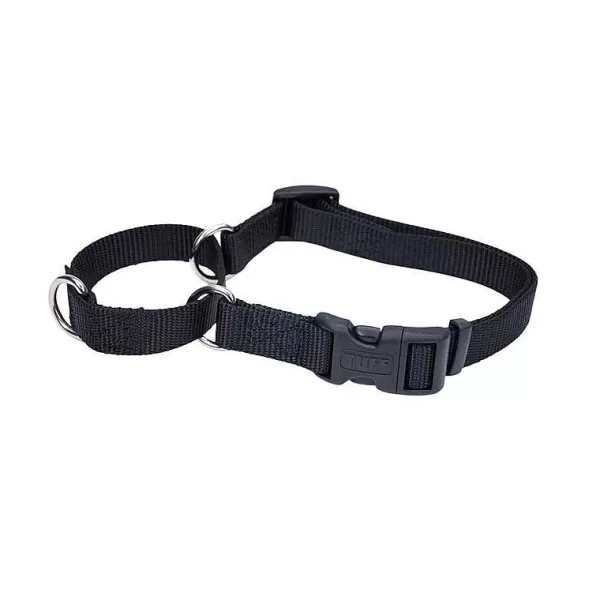 Hot Coastal No! Slip Martingale Collar With Buckle Large 1" By 22"-29" Collars