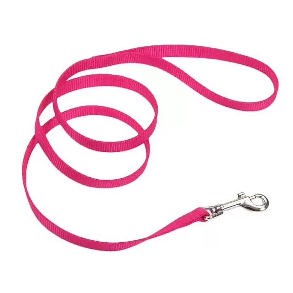 Flash Sale Coastal Nylon Dog Leash For Small Breeds 6' X 1" Leads & Leashes