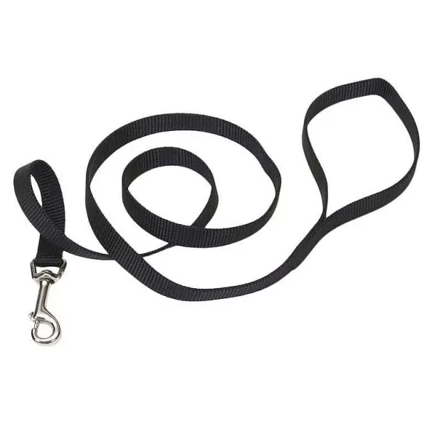 Flash Sale Coastal Nylon Dog Leash For Small Breeds 6' X 1" Leads & Leashes