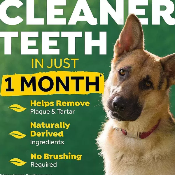Outlet Fresh Breath By Tropiclean Clean Teeth Oral Care Gel 2Oz Dental Care