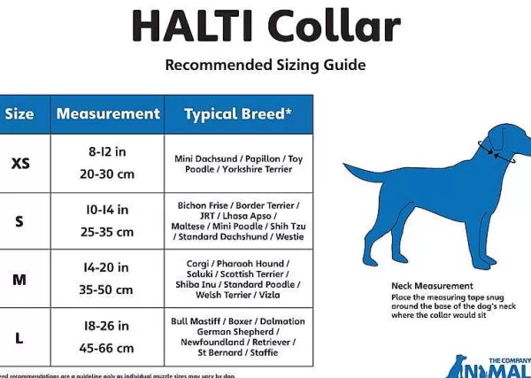 Hot Halti Training Collar Size 0 For Mini And Toy Breeds Training Collars