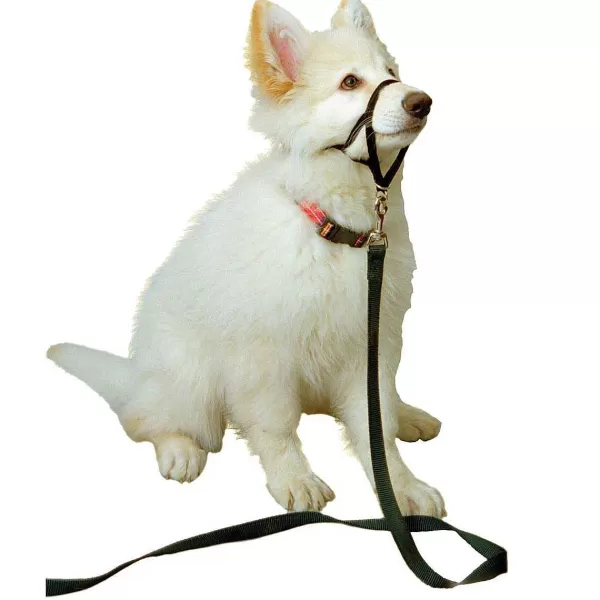 Clearance Halti Training Collar Size Large For Large And Active Breeds Training Collars